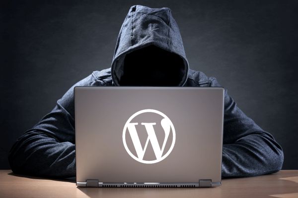 3 Cosas que puedes hacer para proteger tu web de piratas informáticos 1