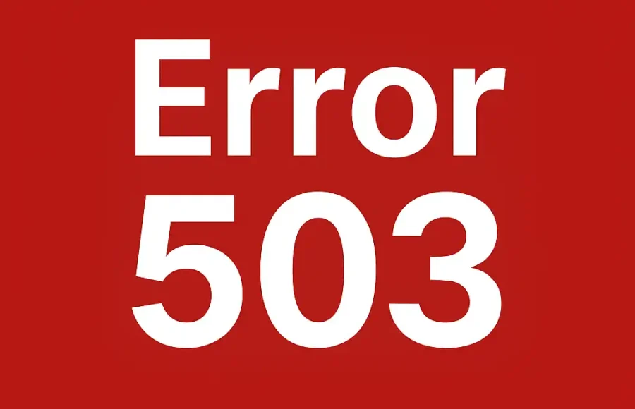 Error 503