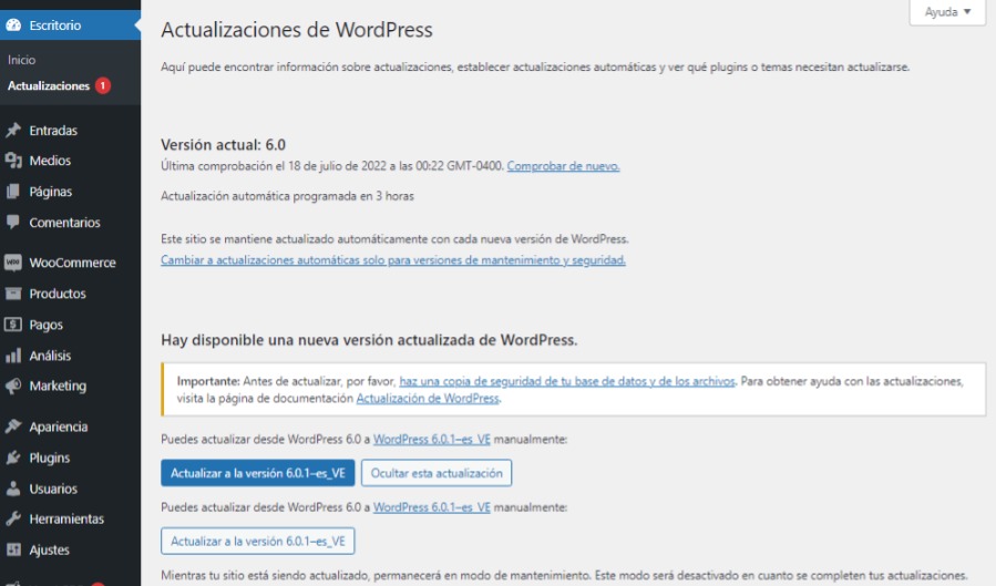 Actualizar WordPress