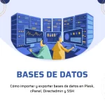 bases de datos